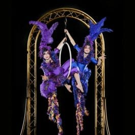birds of paradise performers in aerial birdcage