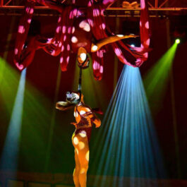 circus performers for hire in London perform an aerial act